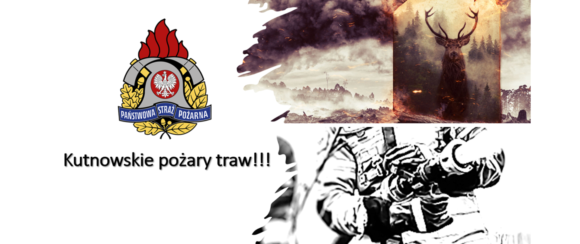 Kutnowskie pożary traw 