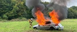 Zdjęcie przedstawia płonący samochód oraz strażaka, który przy użyciu węża szybkiego natarcia próbuje ugasić pożar.