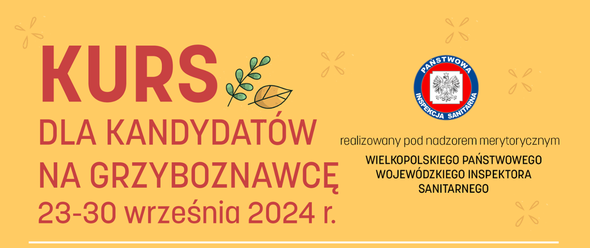 kurs grzyboznawca 2024 baner