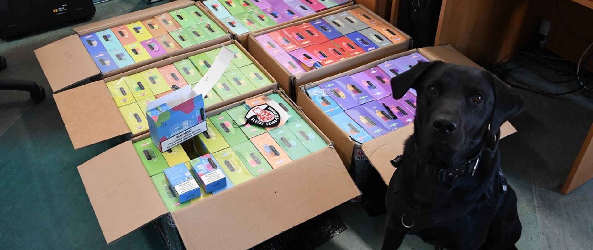 Liquidy i pies służbowy 