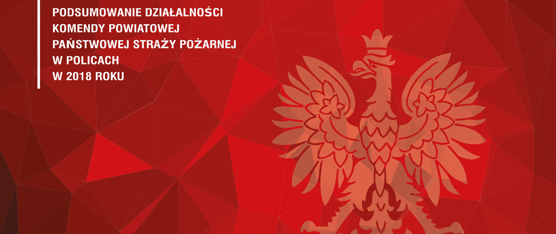 Pierwsza strona raportu