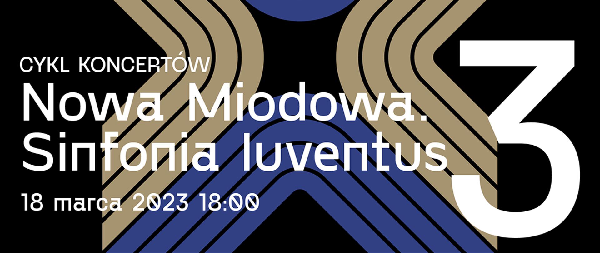 Grafika przedstawiająca na czarnym tle pasy, które są pogrupowane po cztery, w czterech zestawach i każdy zestaw tworzy literę V mającą zaokrąglone łączenie ramion. Wszystkie schodzą się zaokrąglonym rogiem w środku grafiki tworząc X. Dwa zestawy V są w kolorze niebieskim (górny i dolny), dwa w beżowym (boczne).