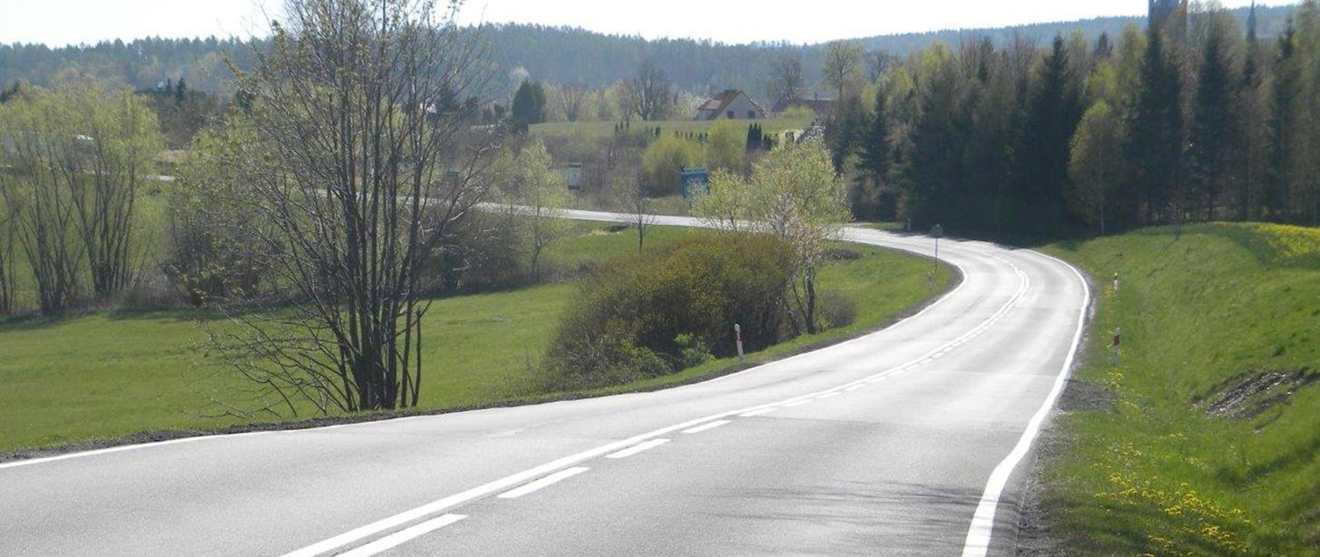 Zdjęcie przedstawia zakręt na drodze krajowej. W tle domy i drzewa.