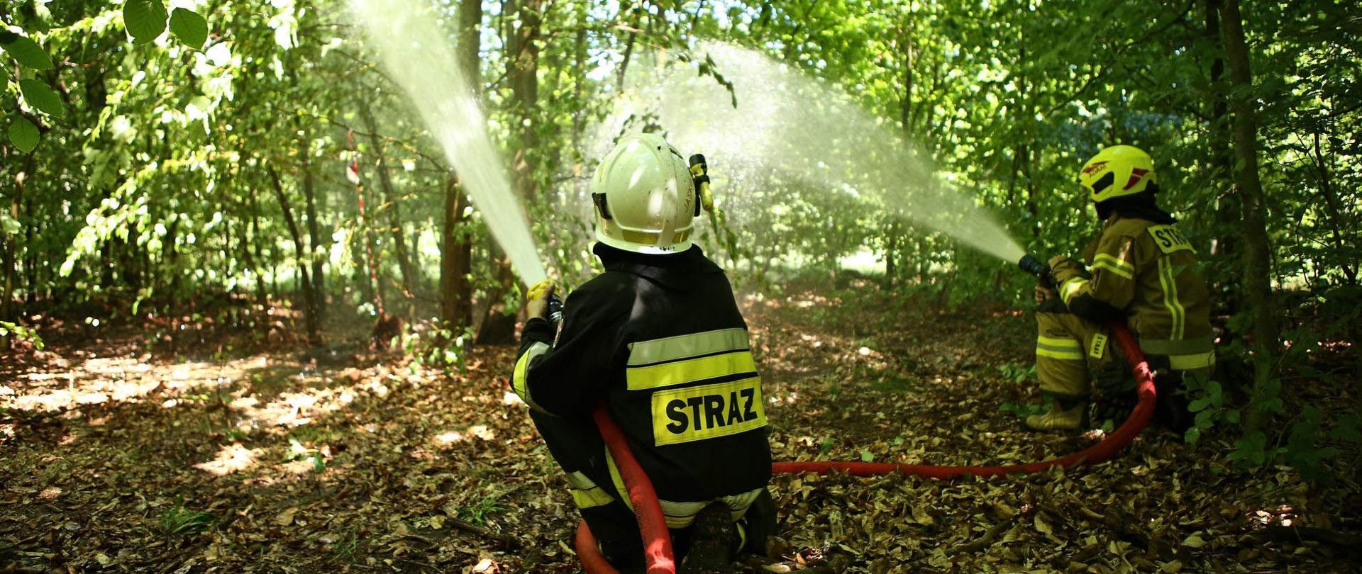 Ćwiczenia "LAS 2022" - zdjęcie przedstawia strażaków OSP podających wodę podczas ćwiczeń w lesie