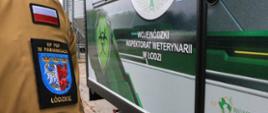 Zdjęcie wykonane podczas międzypowiatowych ćwiczeń w Chechle. Na zdjęciu strażak stojący przy przyczepie Wojewódzkiego Inspektoratu Weterynarii w Łodzi.