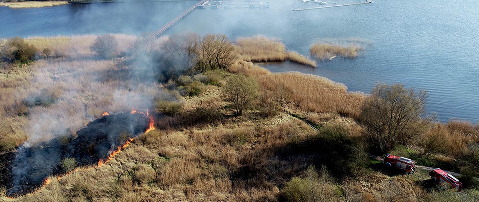 Zdjęcie przedstawia pożar trzcin i trawy .Widok z lotu ptaka.