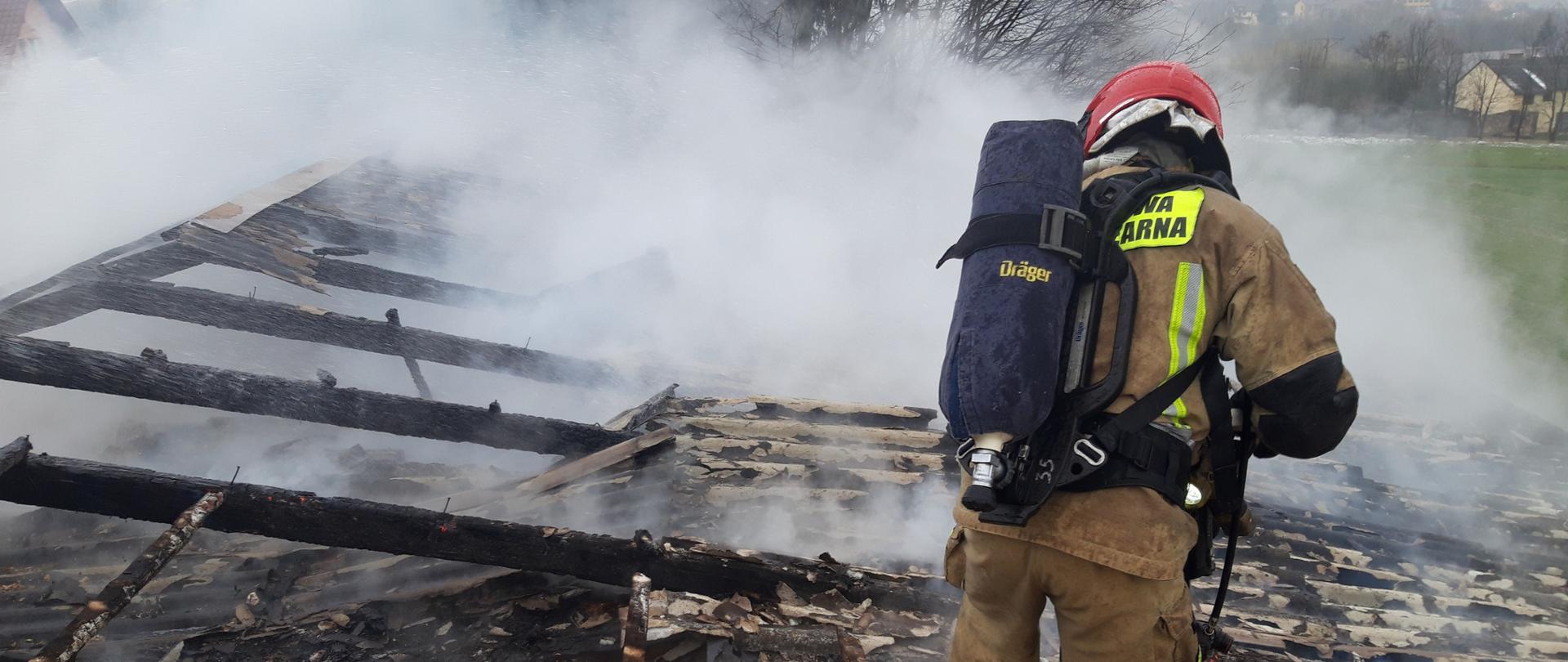 Zdjęcie przedstawia strażaka stojącego tyłem do aparatu. Ma on założony aparat ochrony układu oddechowego. Podaje prąd wody na palący się dach kurnika.