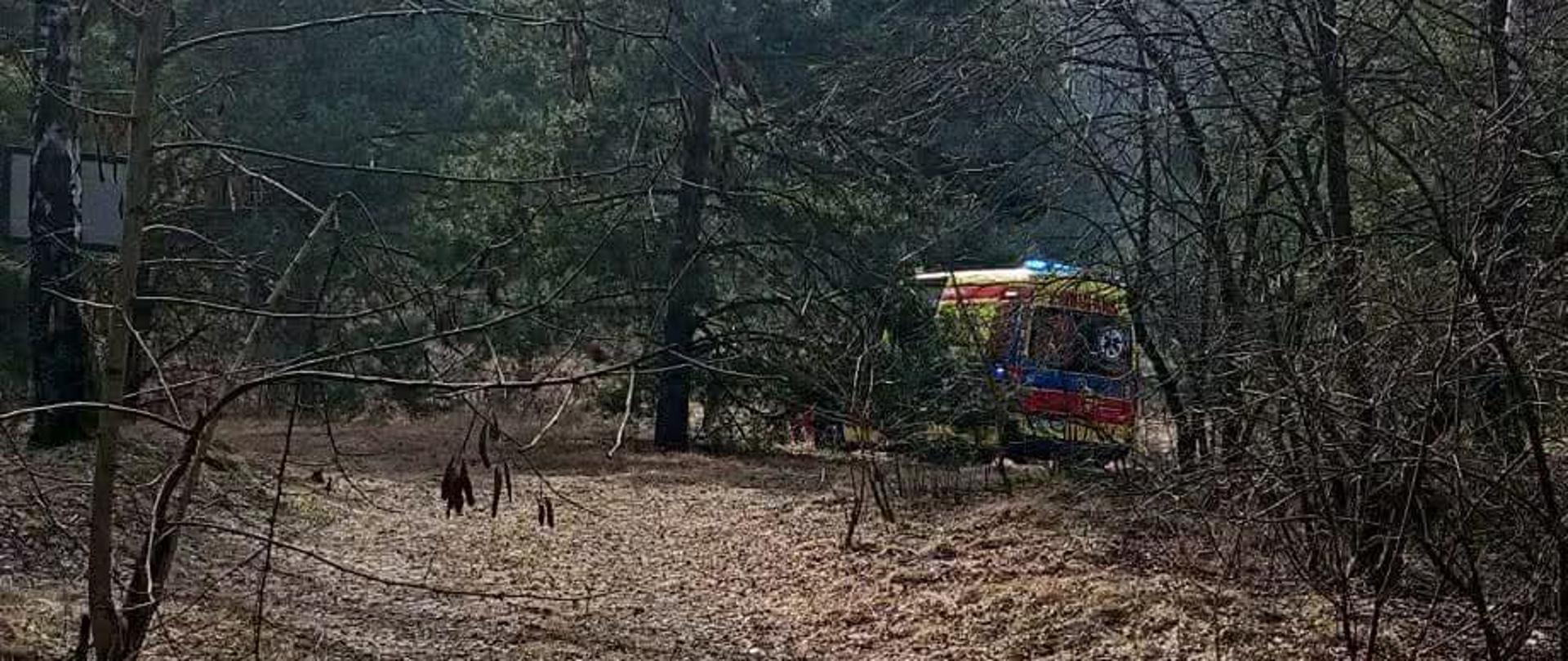Teren leśny oraz zespół ratownictwa medycznego