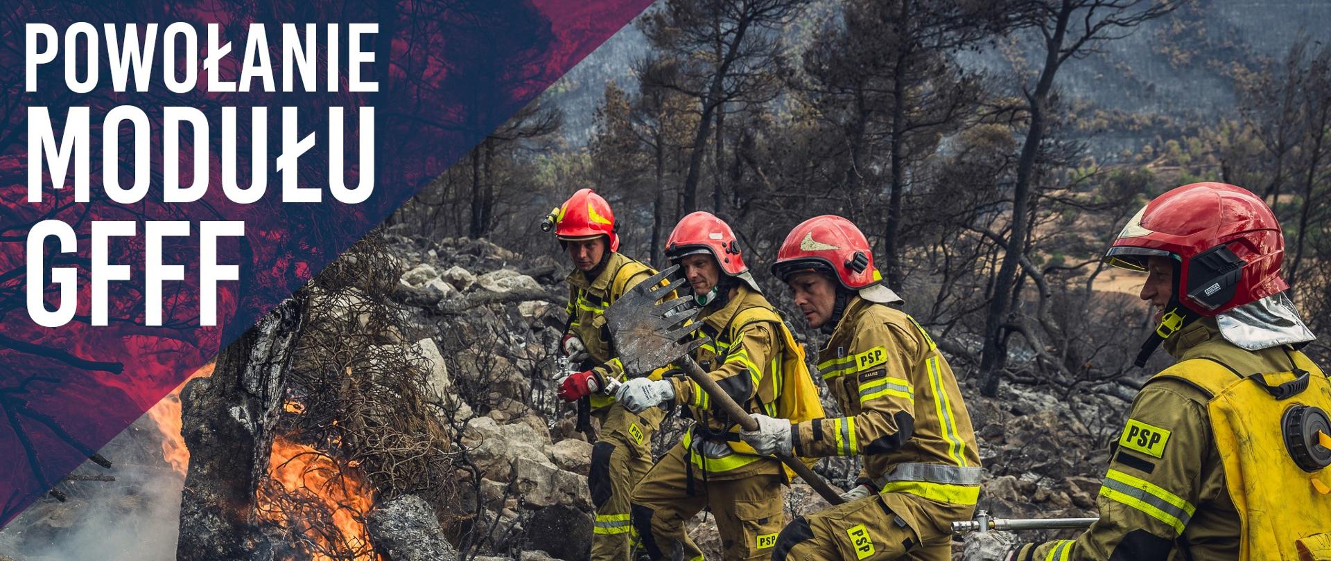 
Powołanie modułu GFFF
