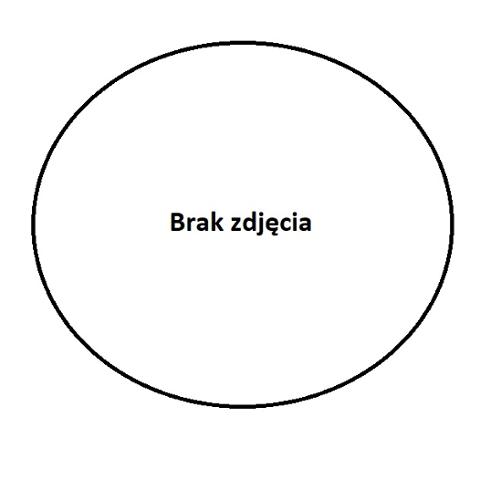 Zdjęcie przedstawia Zastępcę Komendanta Miejskiego Państwowej Straży Pożarnej w Częstochowie mł.bryg. Tomasza Bąka w mundurze galowym