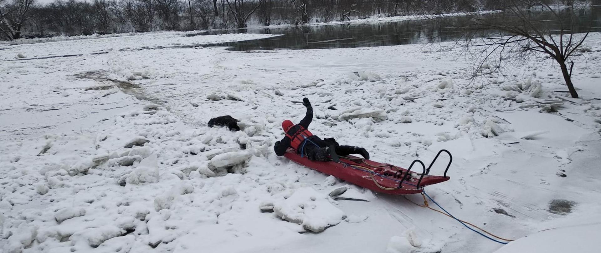 Na zdjęciu strażak na saniach lodowych na rzece San częściowo pokrytej lodem ratuje psa