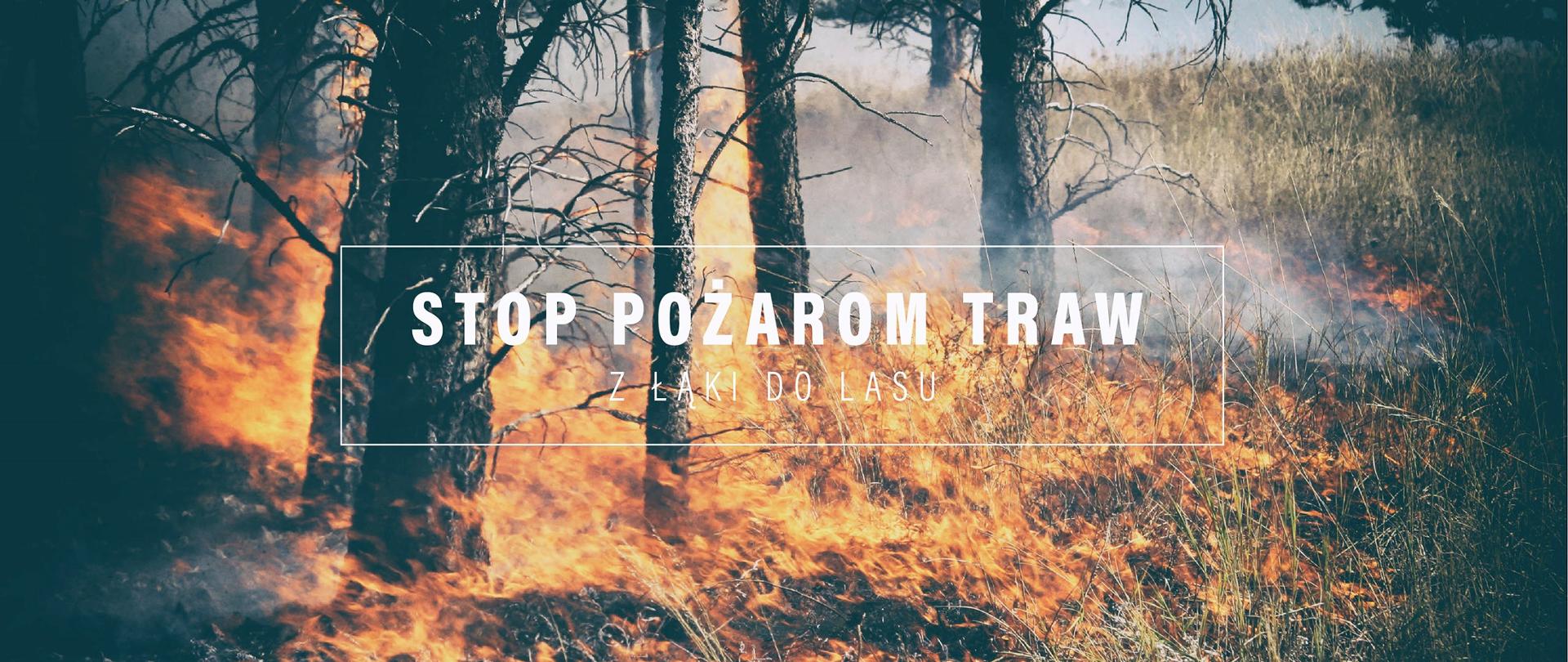 Widok z boku. Pożar trawy wdzierający się do lasu. Na środku napis "Stop pożarom traw z łąki do lasu". 