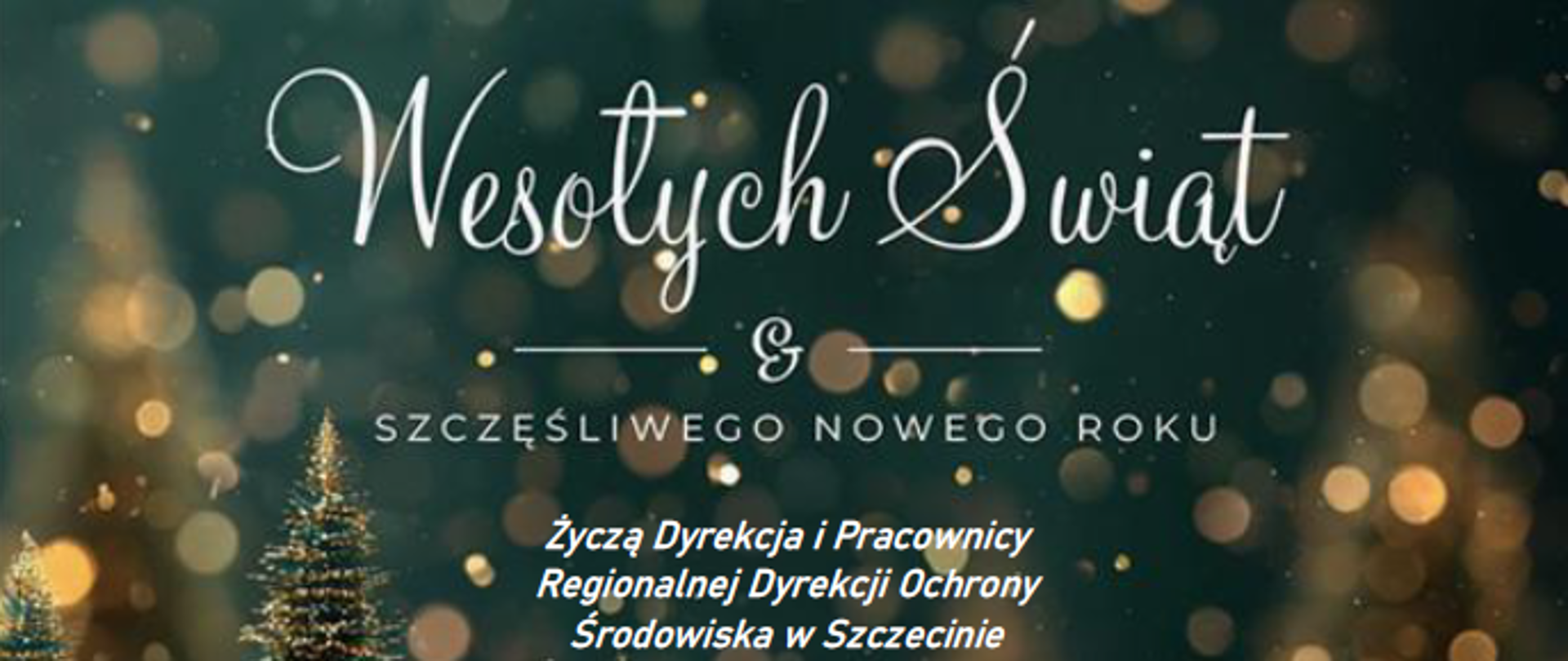 Wesołych Świąt Bożego Narodzenia 2025 r.