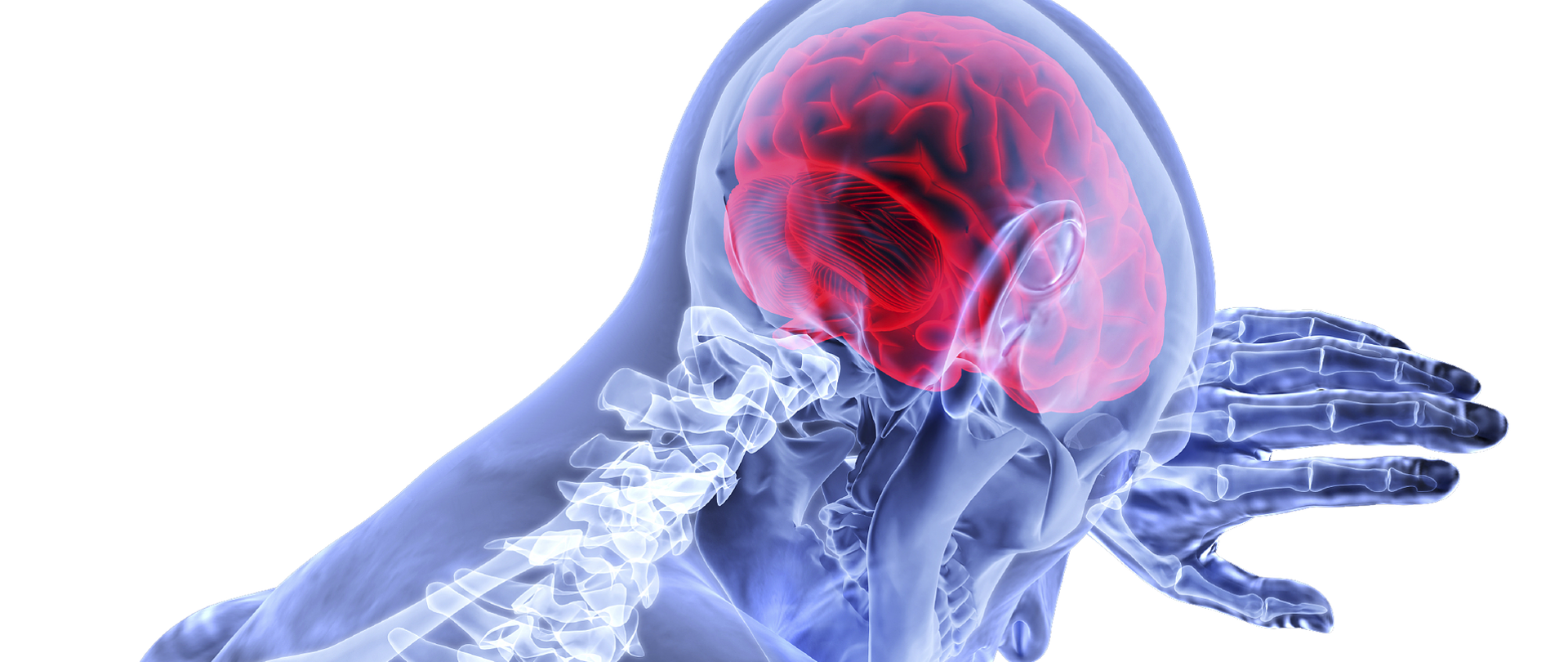 Europejski Dzień Mózgu