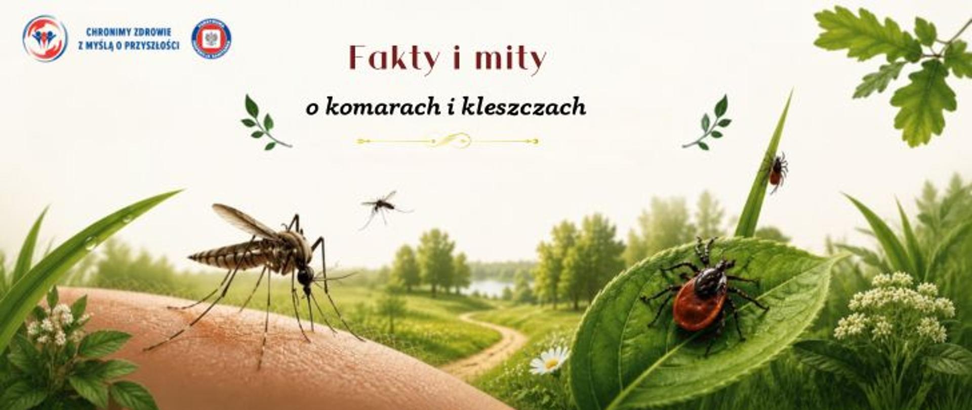 Grafika edukacyjna zatytułowana „Fakty i mity o komarach i kleszczach”. Na tle letniego krajobrazu z zielenią, drzewami i polną ścieżką przedstawiono komara siedzącego na ludzkiej skórze oraz kleszcza znajdującego się na zielonym liściu. Wokół widoczne są elementy roślinności, a także mniejsze owady. W górnej części grafiki znajduje się tytuł logo Państwowej Inspekcji Sanitarnej wraz z hasłem: Chronimy zdrowie z myślą o przyszłości. Grafika nawiązuje do tematyki profilaktyki zdrowotnej i ochrony przed ukąszeniami owadów podczas wypoczynku na świeżym powietrzu.