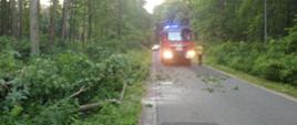 Zdjęcie przedstawia samochód strażacki stojący na drodze. Po jednej i drugiej stronie drogi jest las. Po lewej stronie drogi leżą połamane gałęzie drzew.