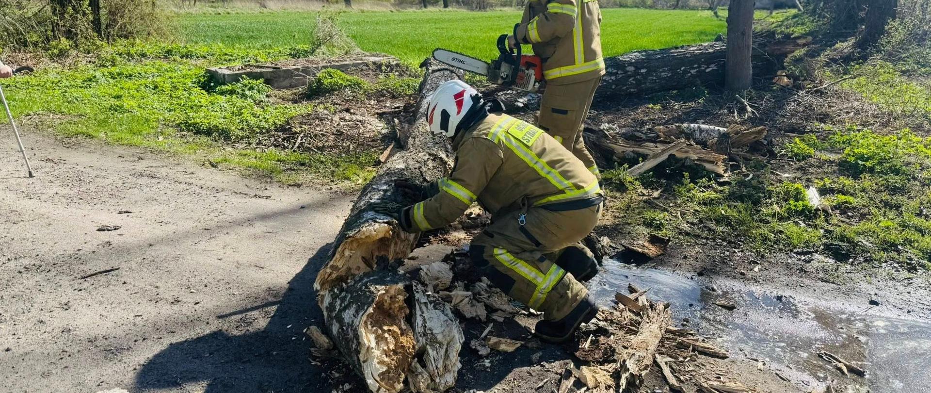 Strażacy ochotnicy usuwający pień drzewa z drogi