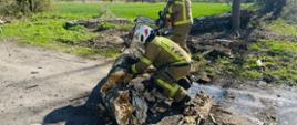 Strażacy ochotnicy usuwający pień drzewa z drogi