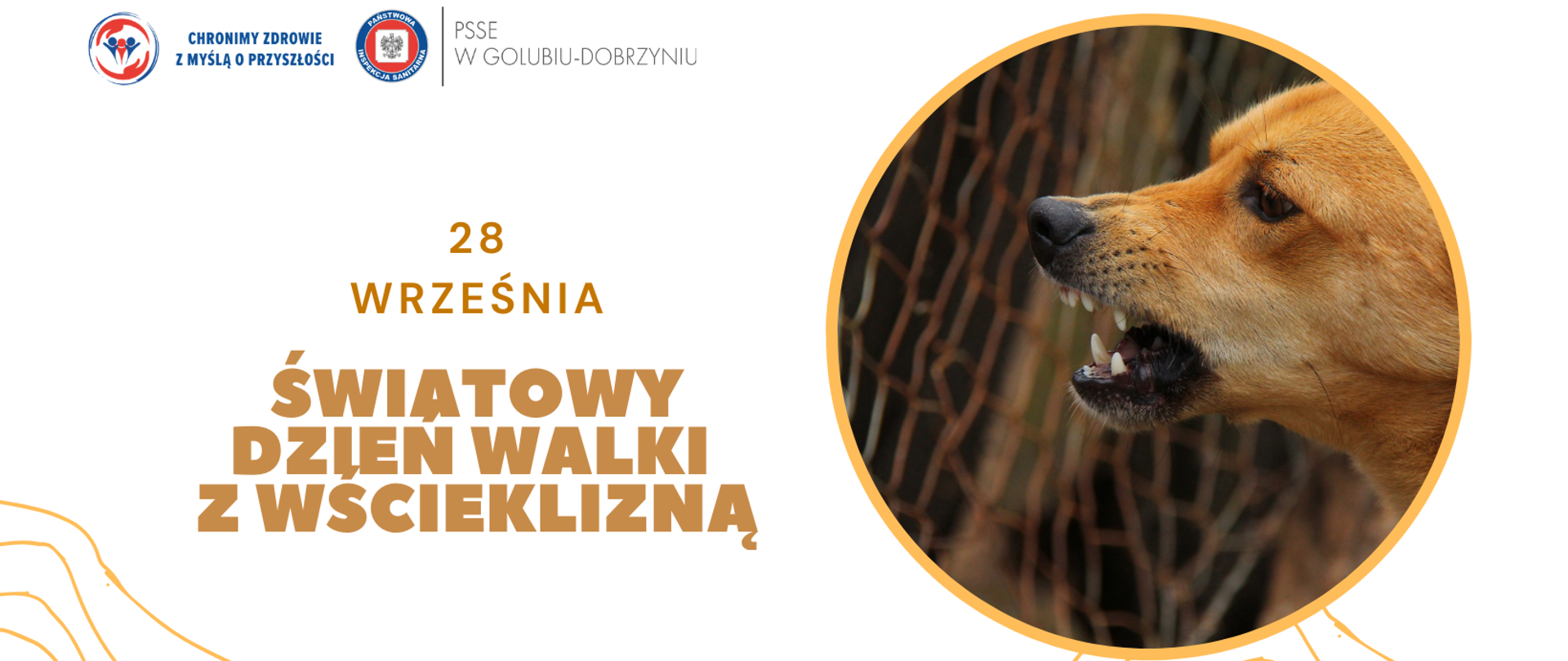 Na białym tle po prawej stronie obrazek groźnego psa. Po lewej stronie na górze logo Powiatowej Stacji Sanitarno-Epidemiologicznej w Golubiu-Dobrzyniu oraz hasło: "Chronimy zdrowie z myślą o przyszłości". Poniżej napis: "28 września - Światowy Dzień Walki z Wścieklizną".