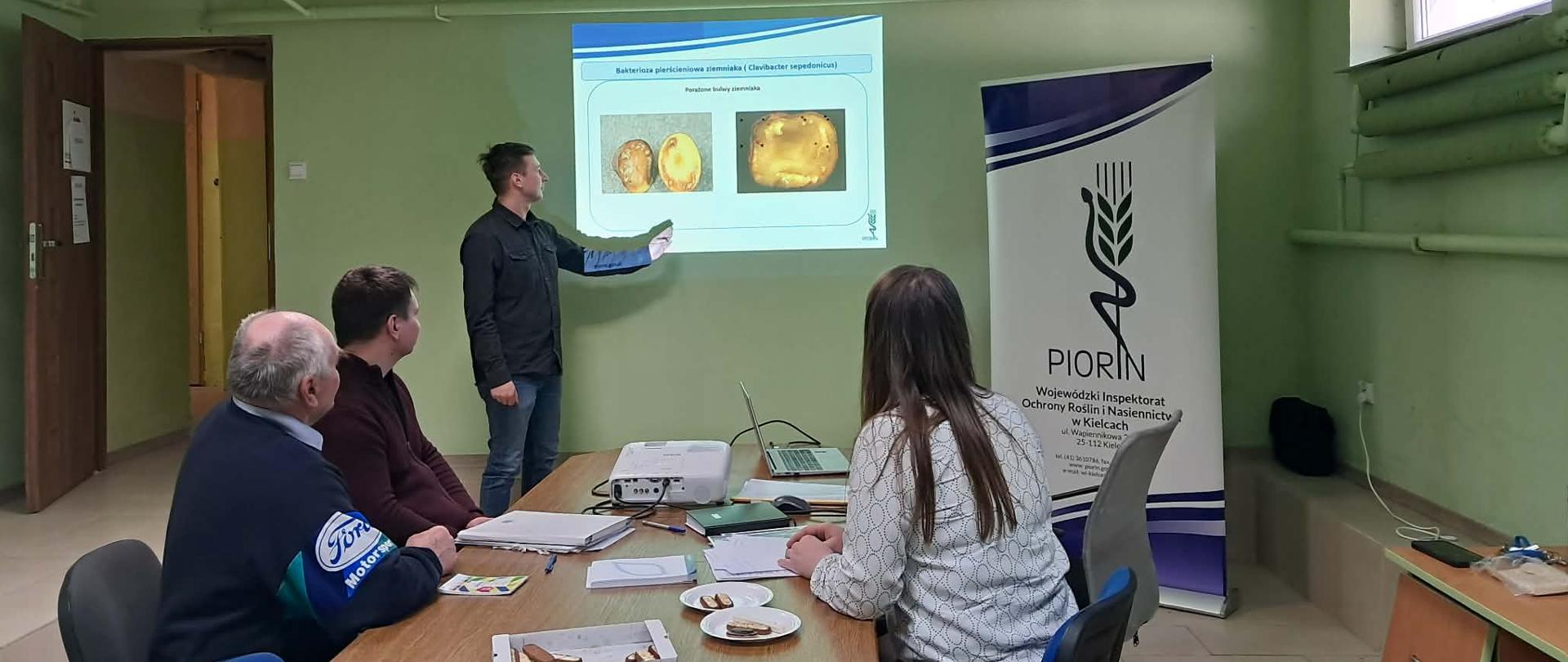 Na pierwszym planie w zielonej sali konferencyjnej widać pracownika inspekcji który stoi na środku sali pokazując ręką na wyświetlany slajd na którym znajduje się żółta, przekrojona bulwa ziemniaka miejscami z brązowymi plamami chorobowymi. Przy stoliku siedzą trzy osoby, dwóch mężczyzn oraz kobieta. Na stoliku znajduje się rzutnik z którego jest wyświetlany pokaz slajdów. W prawym rogu sali znajduje się rol-up Państwowej Inspekcji ochrony Roślin i Nasiennictwa w Kielcach, zielony kłos opleciony czarnym wężem na biało niebieskim tle. 