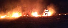 Zdjęcie przedstawia pożar nieużytków podczas pory nocnej. Strażak przy pomocy tłumicy gasi pożar trawy