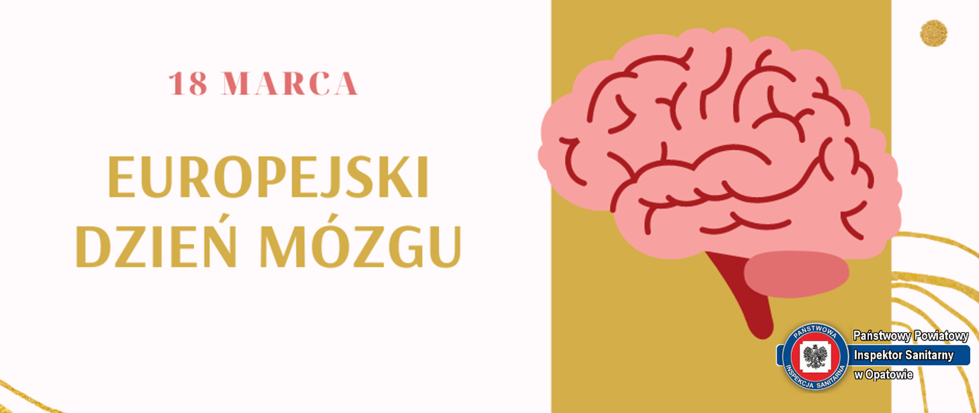 18 marca - Europejski Dzień Mózgu