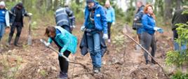 Sadzenie drzew w Parku Krajobrazowym Doliny Bobru przez pracowników Zarządu Zlewni w Lwówku Śląskim.