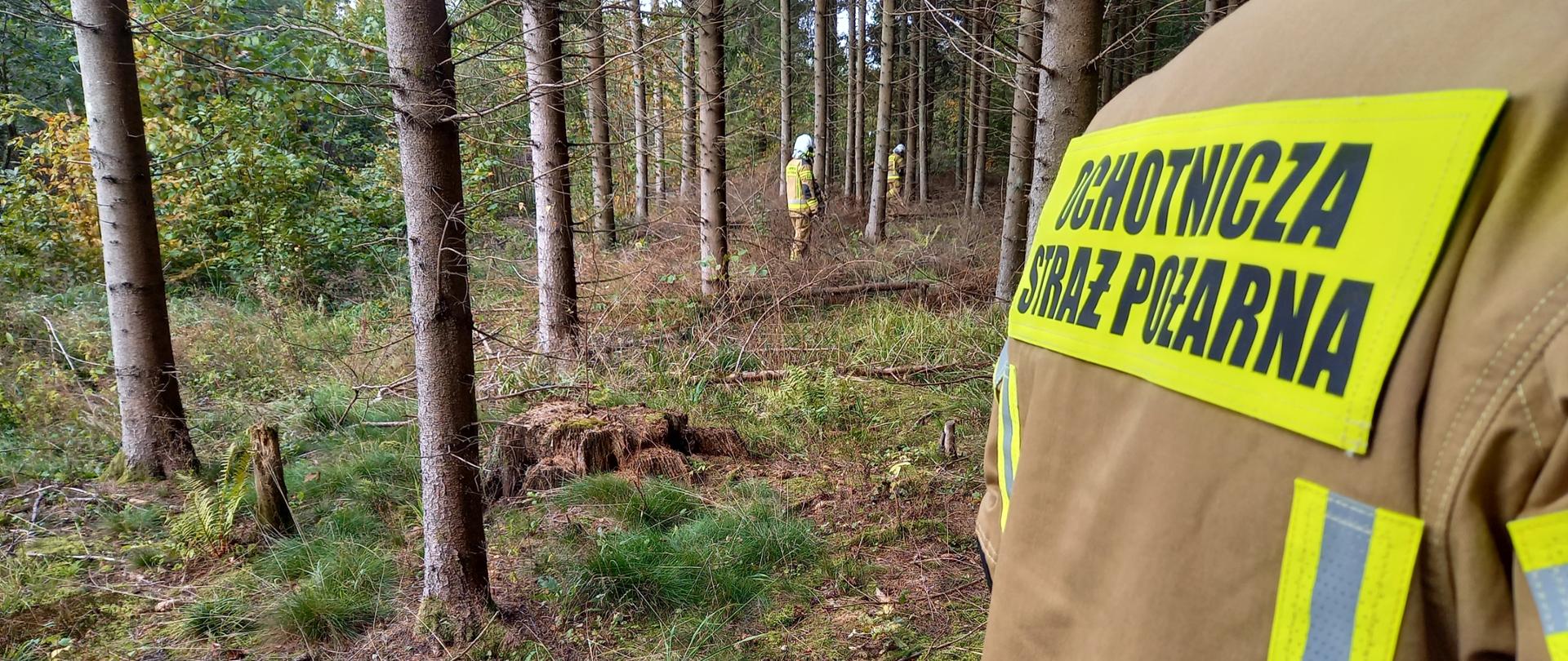 Poszukiwanie osoby zaginionej w lesie