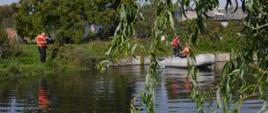 Śnięte ryby. Staw w Izbicach. Na jednym z brzegów stoi strażak trzymający w rękach podbierak. Wyławia śnięte ryby. Na rękach ma rękawiczki jednorazowe. Z prawej strony dwóch innych strażaków odławia ryby z pokładu pontonu. W tle drzewa.