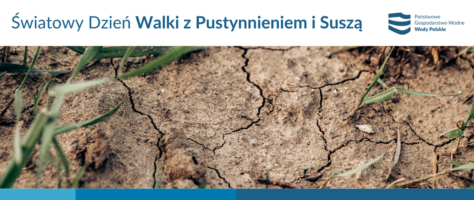 Światowy Dzień Walki z Pustynnieniem i Suszą