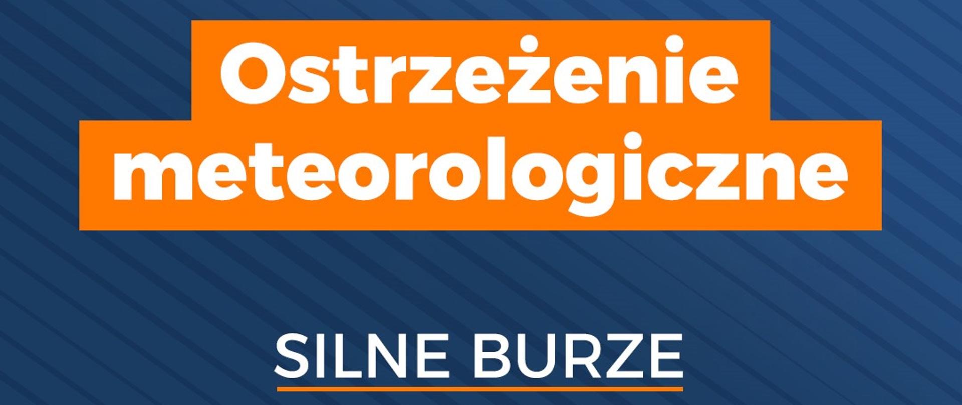 Grafika informacyjna 