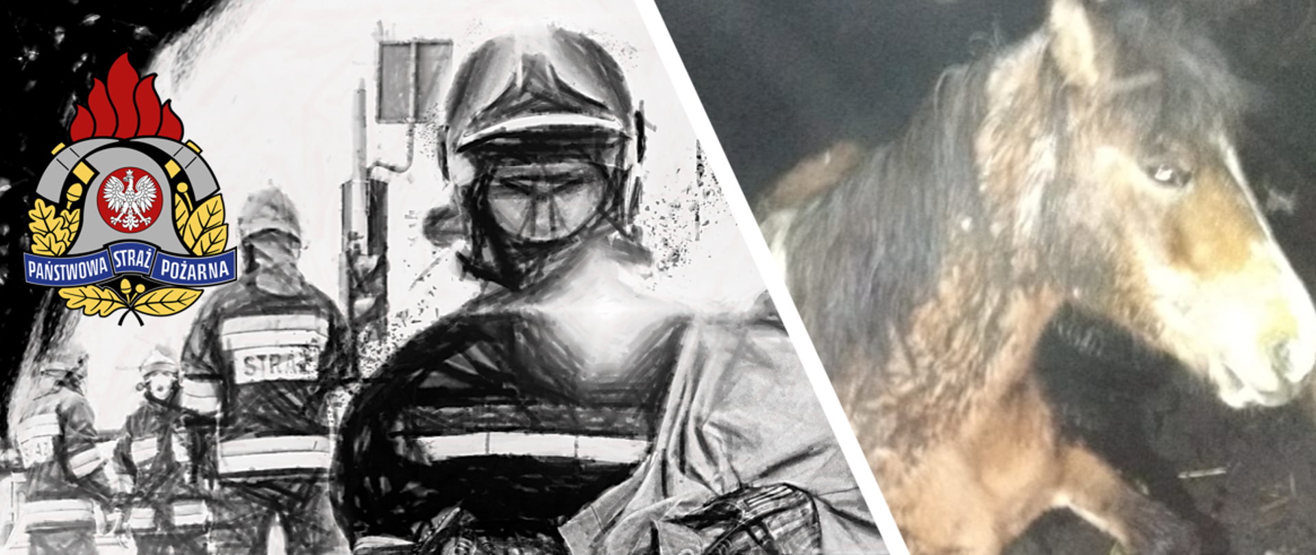 Nietypowa akcja ratownicza –uwieziony koń - infografika