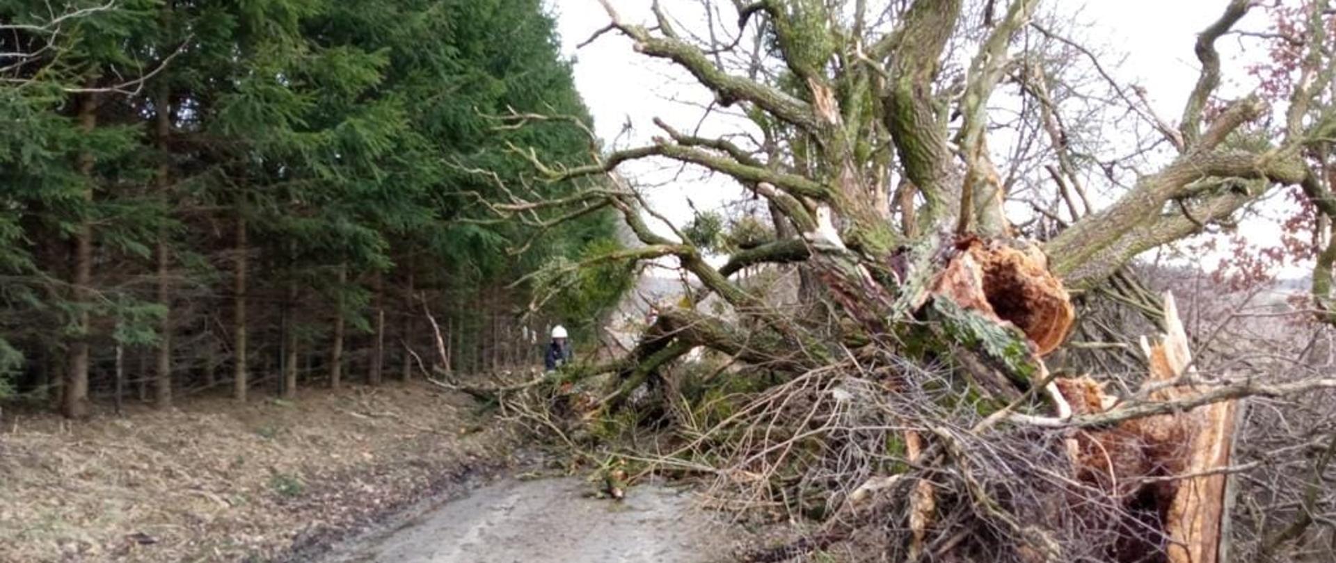 Weekend z rekordową ilością zdarzeń