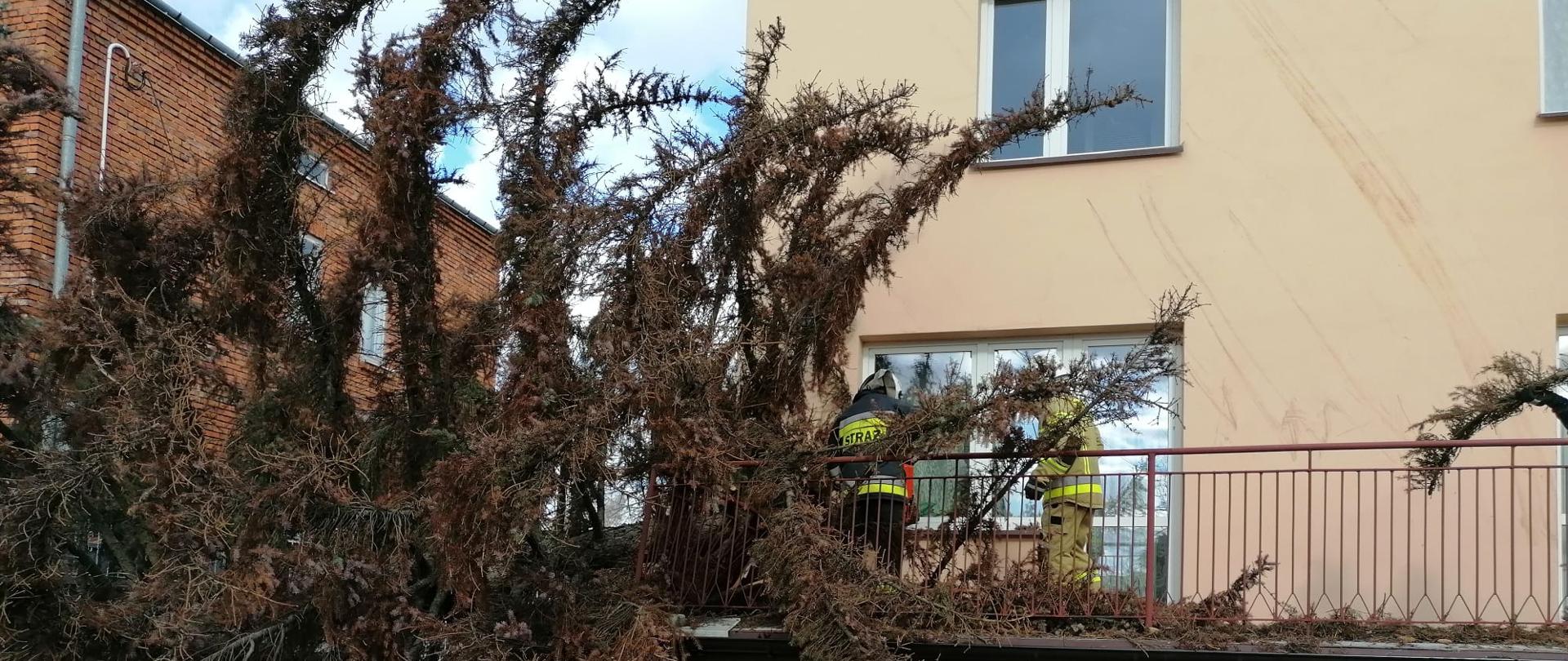 Strażacy obcinają gałęzie z drzewa powalonego na taras