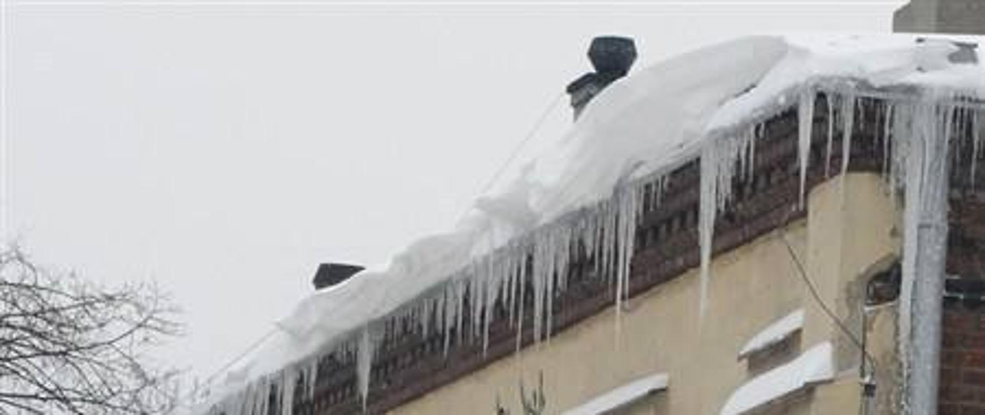 ZDJĘCIE PRZEDSTAWIA NAWIS LODOWY I ŚNIEŻNY NA BUDYNKU