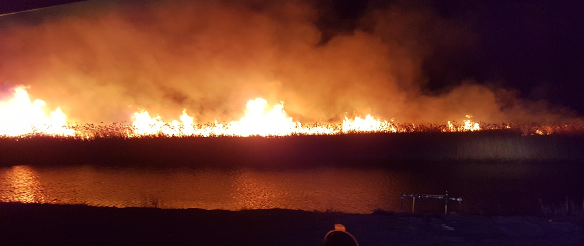 Zdjęcie zostało wykonane w późnych godzinach nocnych. Fotografia przedstawia duży pożar palących się traw i trzcin przy zbiorniku wodnym. Obraz prezentuje płomienie nieużytków, które sięgają miejscami 3-4 metrów.