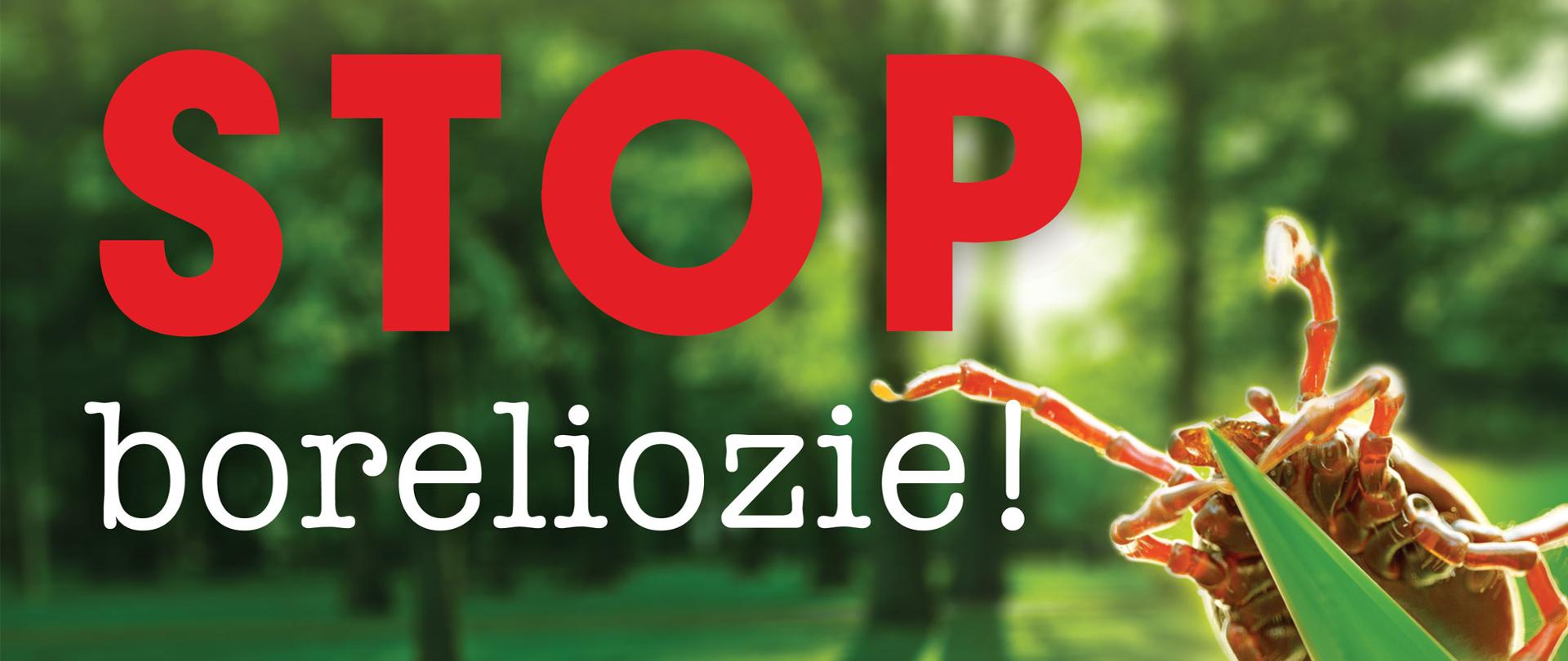 stop borelizoie
