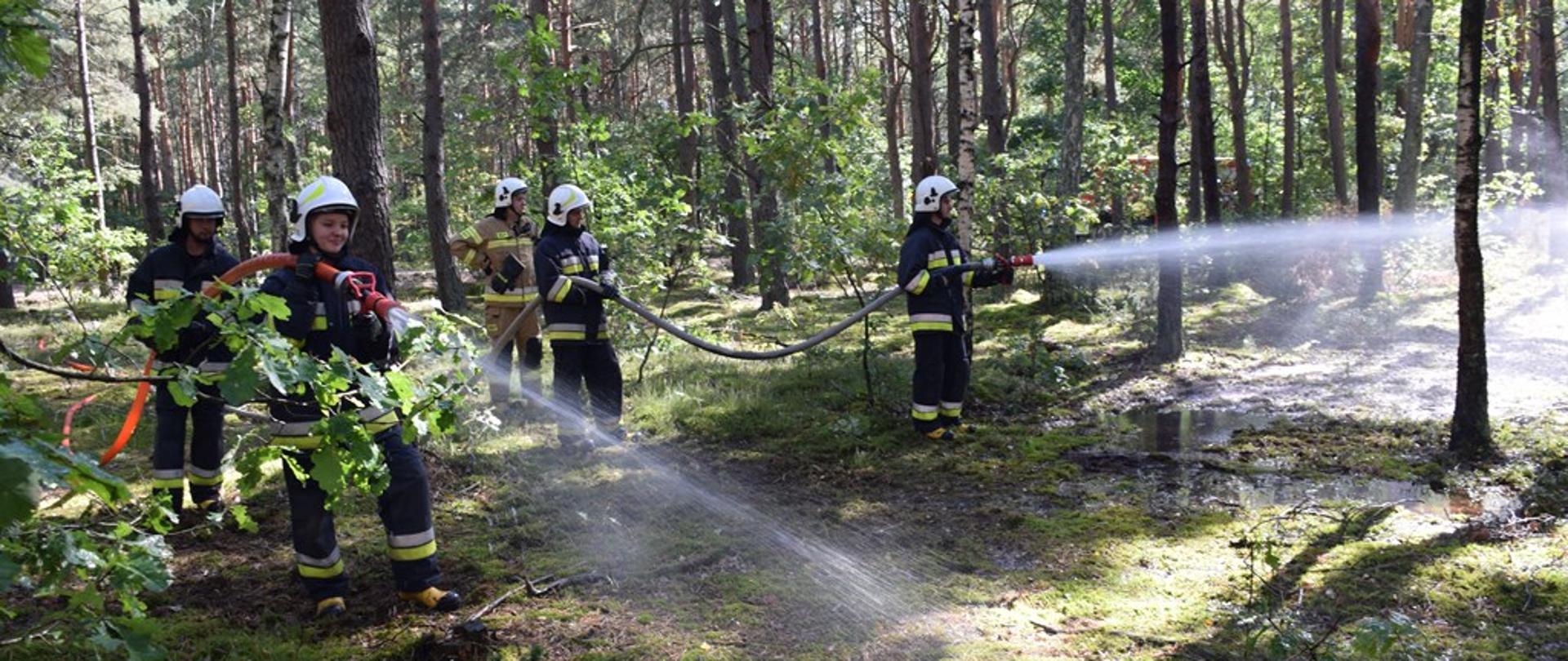 W lesie stoi pięcioro strażaków ubranych w ubrania specjalne. Dwie osoby trzymają prądownicę wodne i podają wodę. 