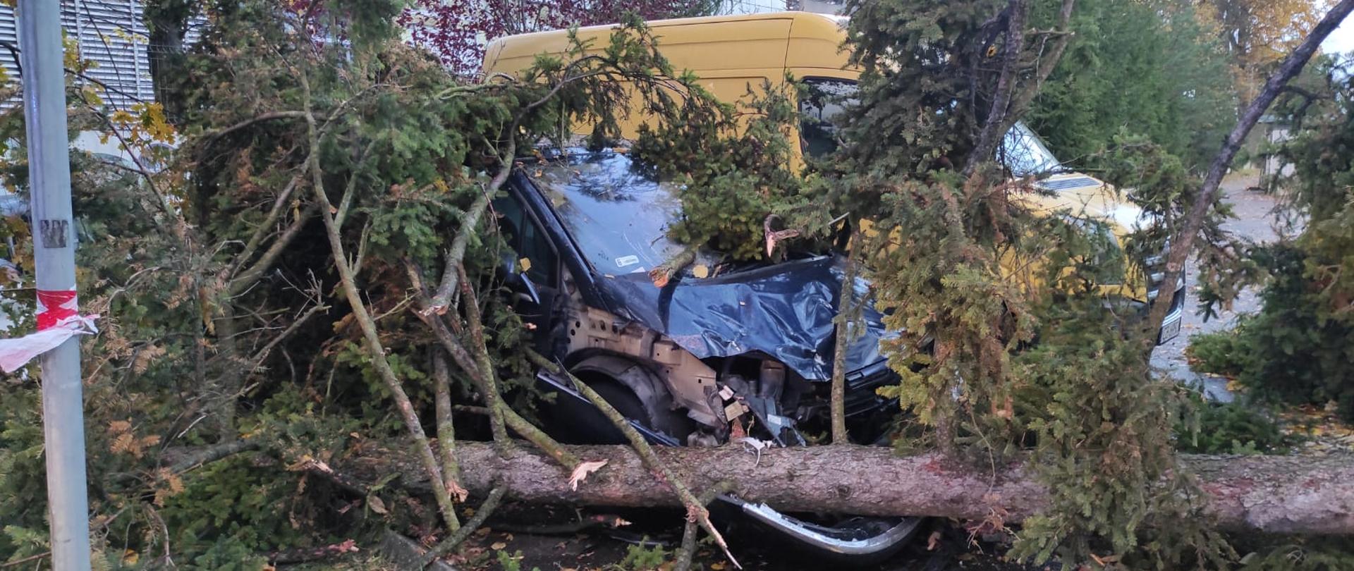 Powalone przez silny wiatr drzewo uszkodziło zaparkowany samochód osobowy. Nadwozie pojazdu zostało zgniecione.