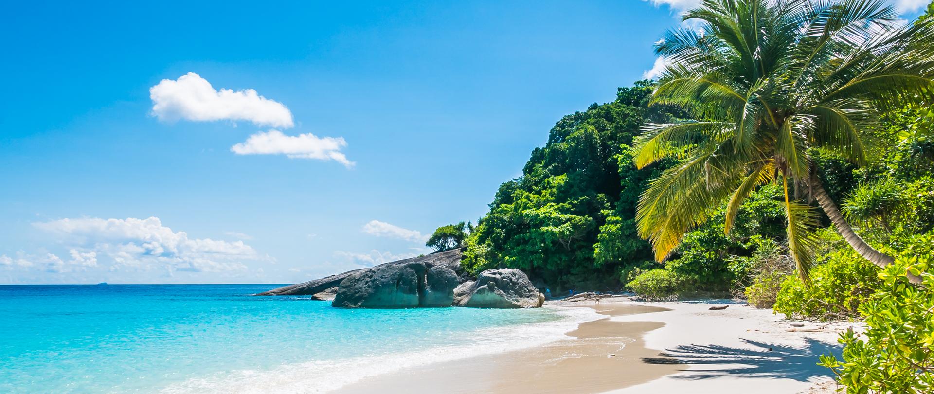 Po lewej stronie błękitne morze, po prawej duża palma i bujna roślinność, na wprost jest skała. Na pierwszym planie jest piaszczysta plaża