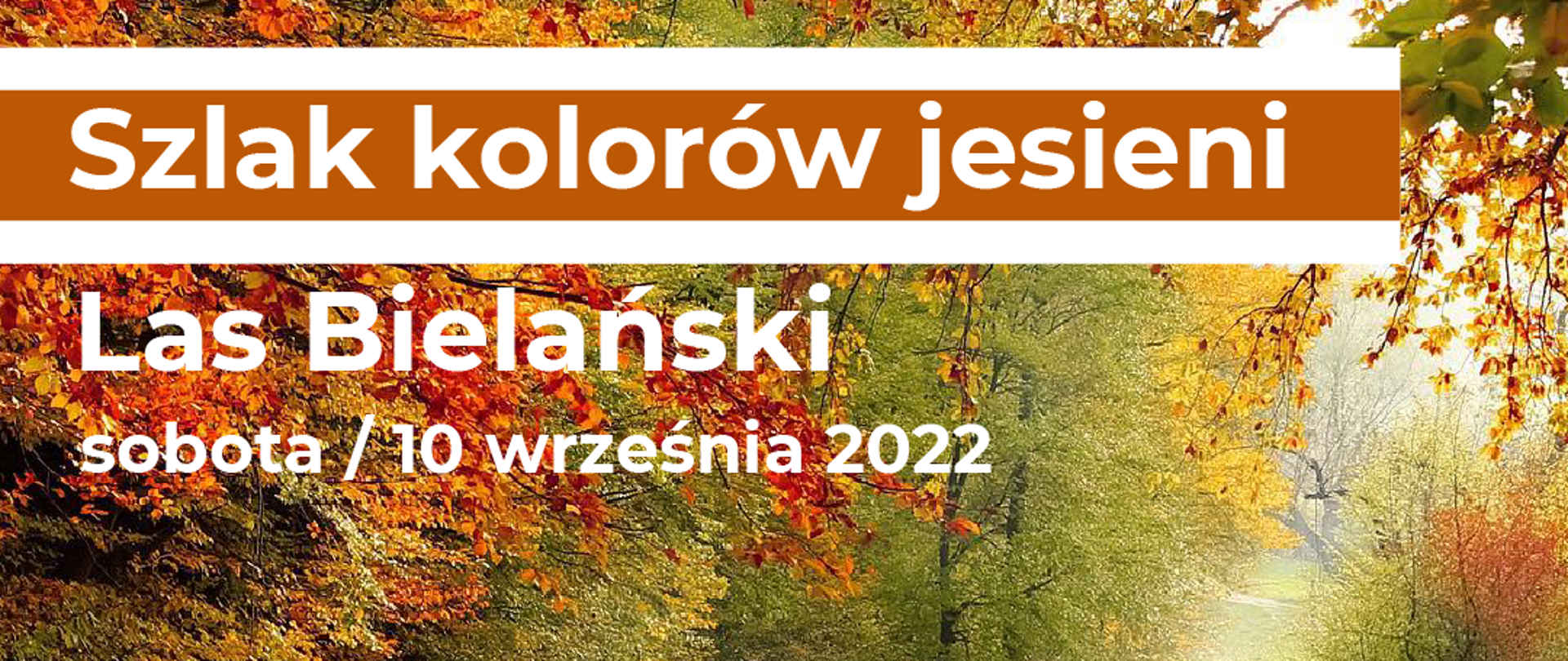 Zdjęcie lasu i napisy: Szlak kolorów jesieni, Las Bielański, sobota 10 września 2022