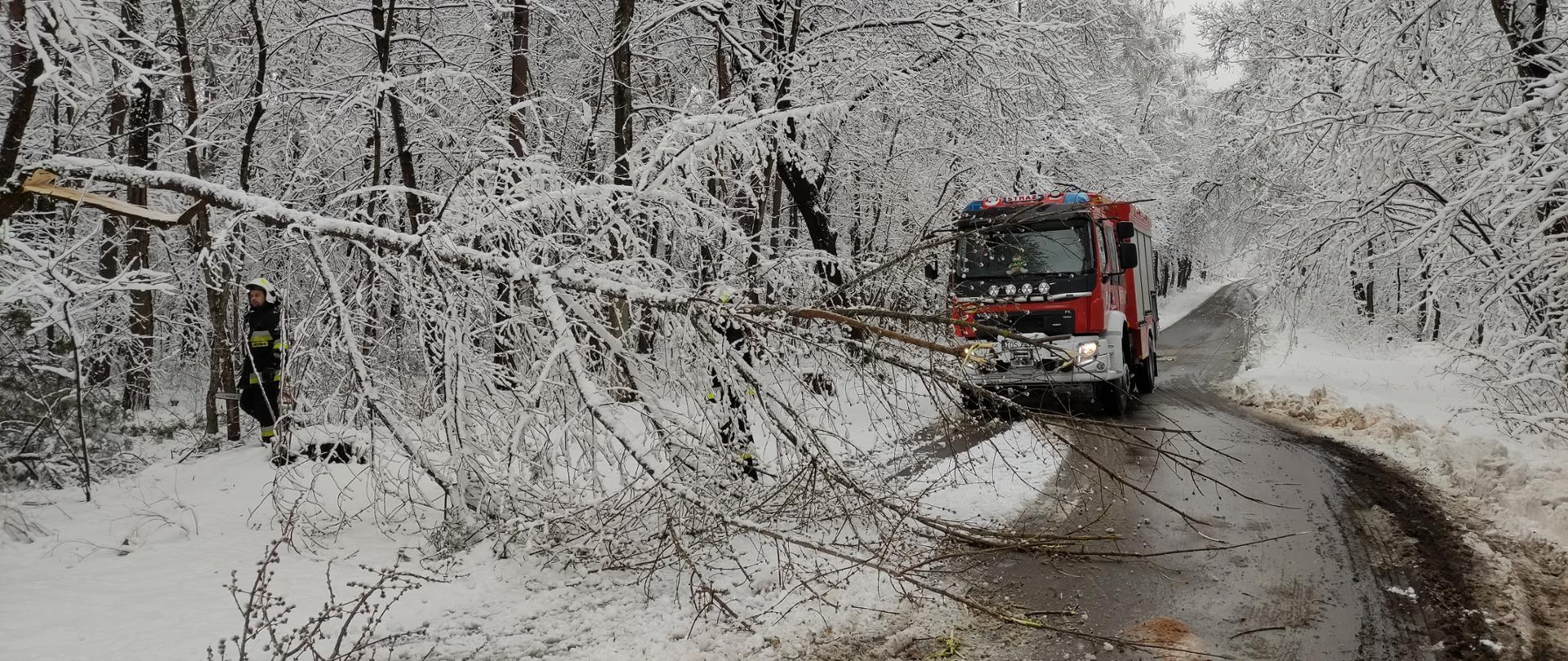 Na zdjęciu widzimy drogę w lesie. Ośnieżone drzewa. Jeden konar leży na jezdni. W tle samochód strażacki.