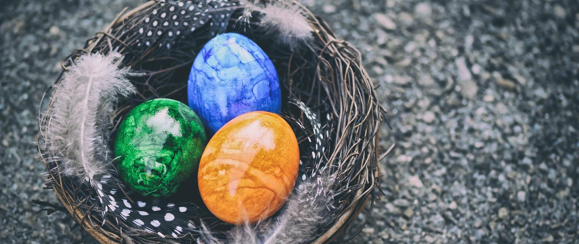 infografika, motyw Wielkanocny - pisanki, gniazdo