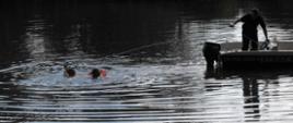 Zdjęcie przedstawia płetwonurków przeszukujących jezioro