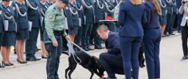 Funkcjonariusz Służby Celno-Skarbowej w mundurze polowym trzyma na smyczy czarnego psa służbowego. Pies podbiega do klęczącego mężczyzny w garniturze. W tle widać szereg mundurowych w galowych strojach.