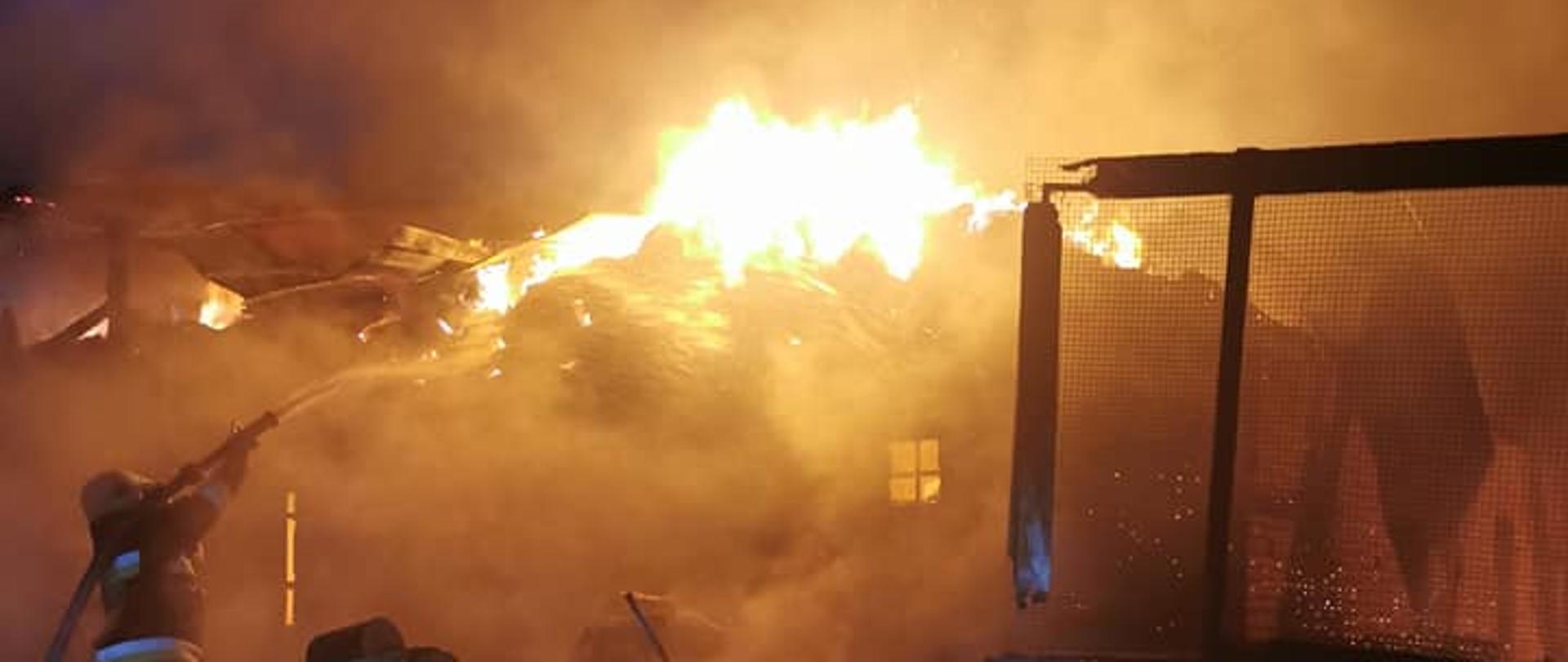 Zdjęcie przedstawia strażaka podejmującego działania gaśnicze na objęte pożarem zabudowania gospodarcze