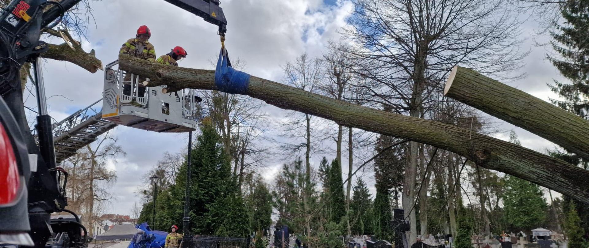Strażacy usuwają powalone przez wiatr drzewo