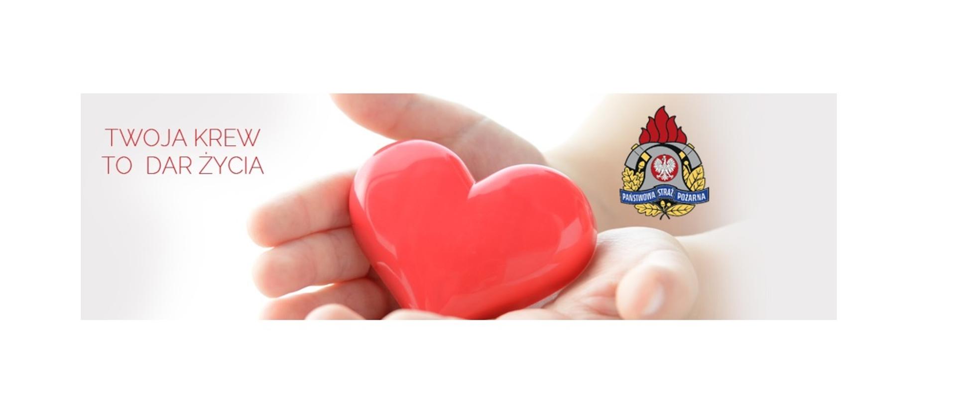 Oddając krew pomagamy