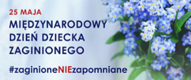 Kampania #zaginioneNIEzapomniane