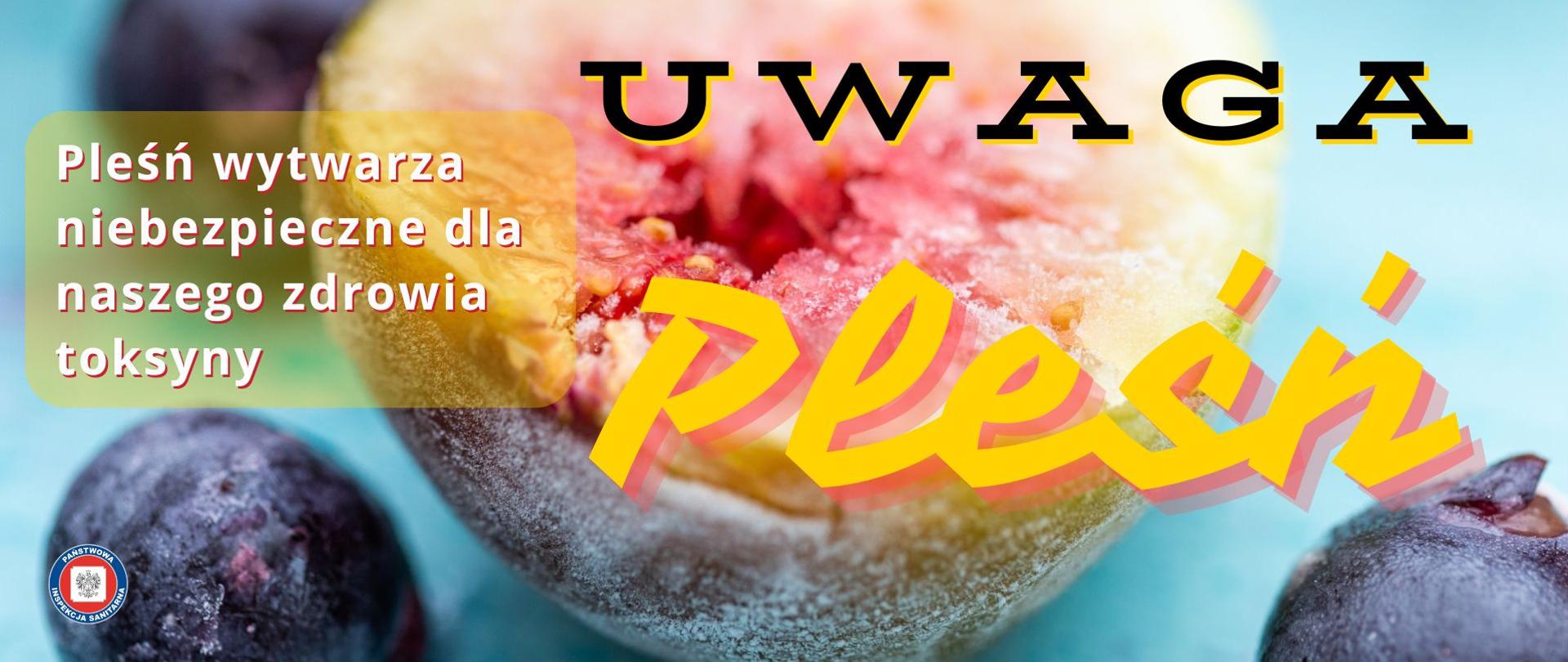 Dojrzałe owoce pokryte pleśnią